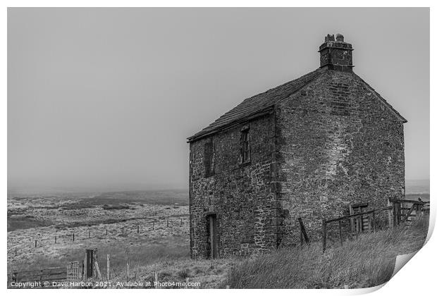 The Derelict Farm House Print by Dave Harbon