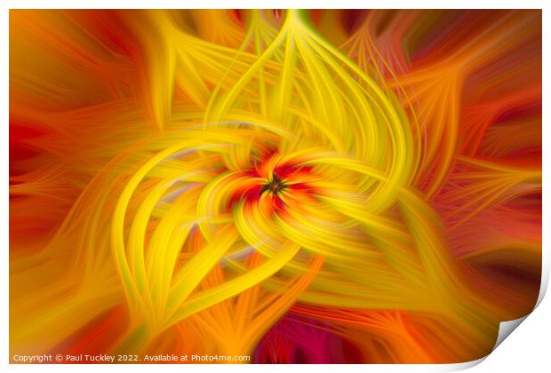 Abstract Lily Print by Paul Tuckley