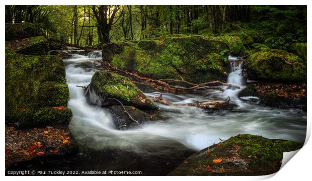 Golitha Falls, Cornwall  Print by Paul Tuckley