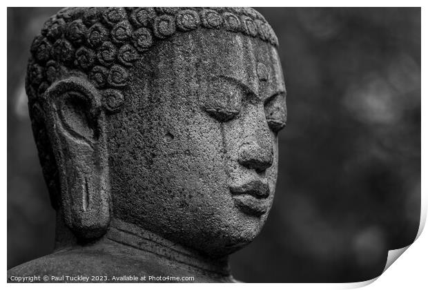 Buddha Print by Paul Tuckley