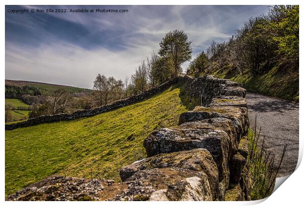 Serene Yorkshire Countryside Print by Ron Ella