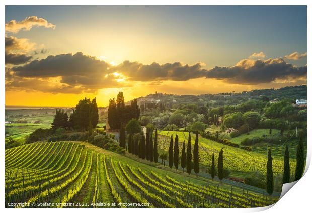 Vineyards in Alta Maremma at Sunset Print by Stefano Orazzini