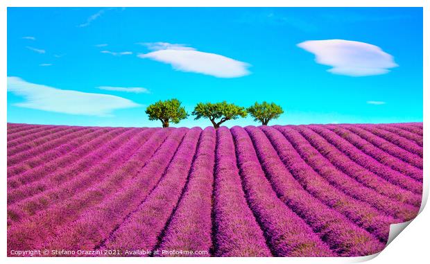 Lavender, Clouds and Trees Print by Stefano Orazzini