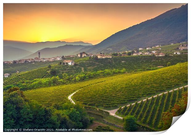 Vineyards after Sunset in Prosecco Hills Print by Stefano Orazzini