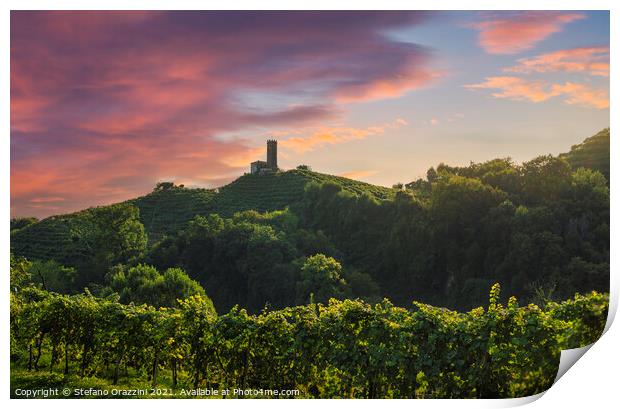San Lorenzo church and Prosecco Hills vineyards Print by Stefano Orazzini