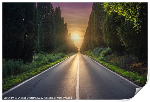 Bolgheri cypress tree lined boulevard. Tuscany Print by Stefano Orazzini