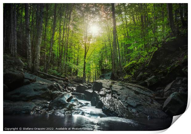 Abetone, stream waterfall inside a forest. Apennines, Tuscany Print by Stefano Orazzini