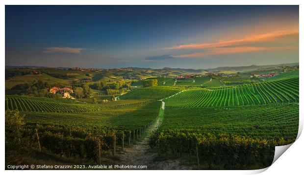 Langhe, path among the vineyards at sunset, La Morra, Piedmont,  Print by Stefano Orazzini