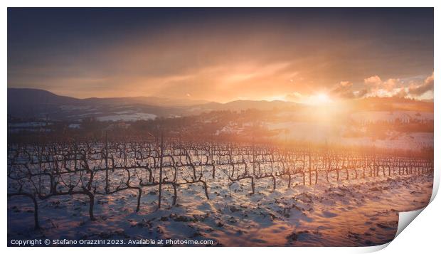 Snow in the vineyards of Chianti at sunset near Siena, Italy Print by Stefano Orazzini
