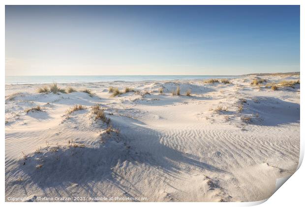 White sand beach and dunes. Vada, Tuscany Print by Stefano Orazzini