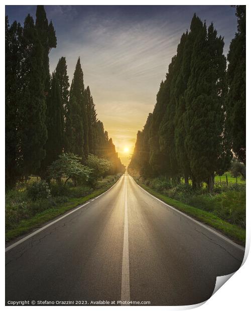 The avenue of Bolgheri and the sun in the middle Print by Stefano Orazzini