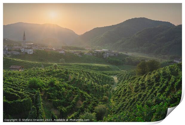 Prosecco Hills, vineyards and Guia village at sunrise. Italy Print by Stefano Orazzini