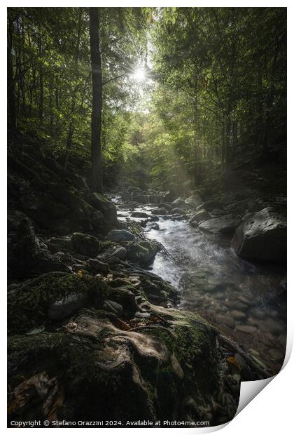 Stream in Acquerino nature reserve forest. Tuscany region, Italy Print by Stefano Orazzini