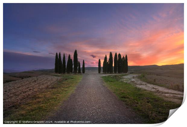 The circle of cypresses of Val d'Orcia, Tuscany Print by Stefano Orazzini