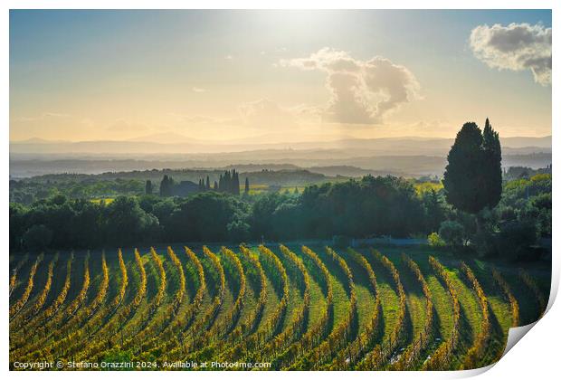 Chianti vineyards panorama at sunset. San Gusmé, Tuscany region, Italy Print by Stefano Orazzini