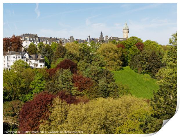 Enchanting Luxembourg in Spring Print by Dudley Wood