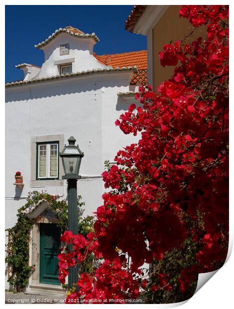 Vibrant Bougainvillea in Cascais Print by Dudley Wood