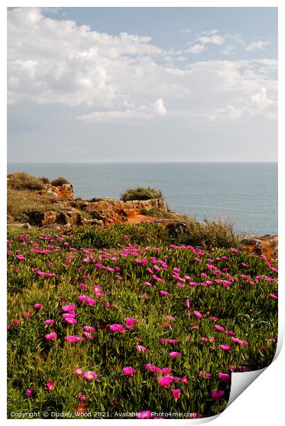 Majestic Cascais Cliff Flowers Print by Dudley Wood