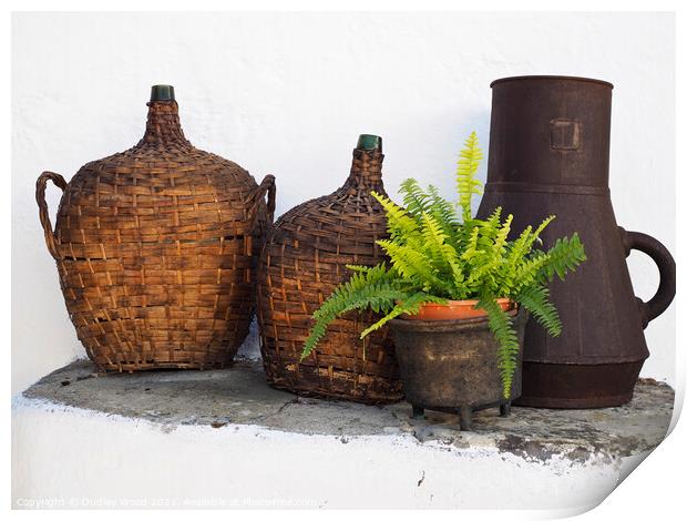 Rustic Portuguese Wine Bottles Print by Dudley Wood