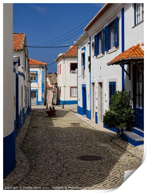 Charming Ericeira Backstreet Print by Dudley Wood