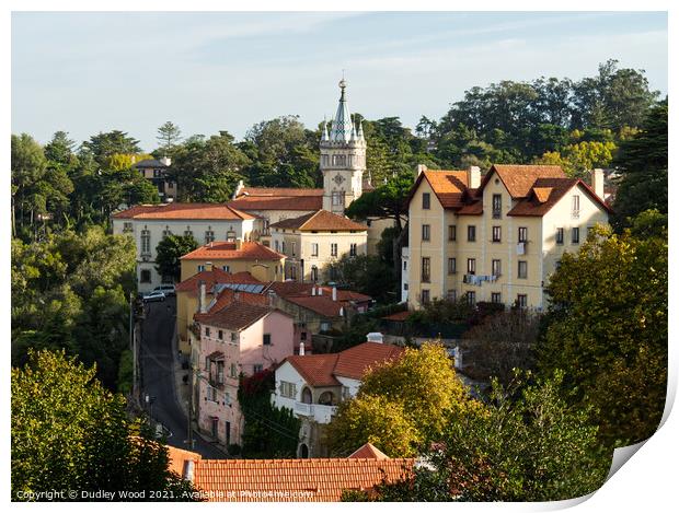 Sintra Town Hall Print by Dudley Wood