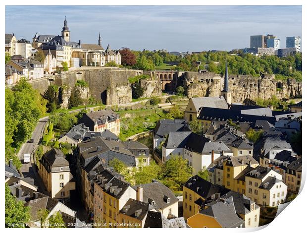 Enchanting Luxembourg A Rooftop View Print by Dudley Wood