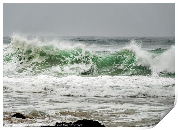 Majestic Coastal Waves Print by Dudley Wood