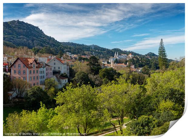 Sintra view Print by Dudley Wood