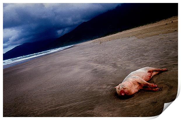 Pig on the beach Print by nick pautrat