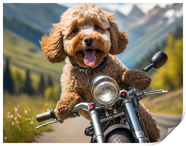Action Cockapoo Motorcycle Funny Dog Print by Artificial Adventures