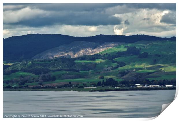 Sun Dappled Hills of Rotorua in New Zealand Print by Errol D'Souza