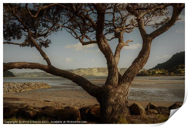Old Tree in the Landscape Print by Errol D'Souza