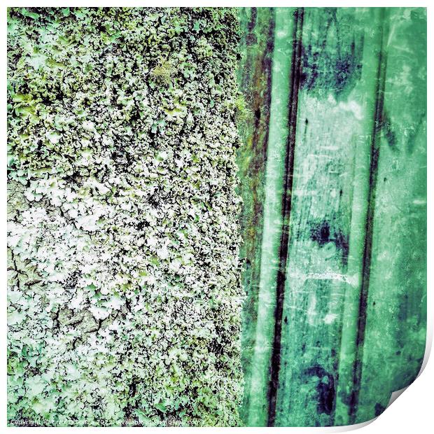 Green Lichen Abstract Print by Errol D'Souza