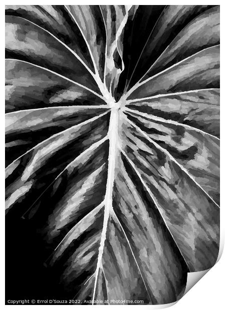 Leaf Close Up Print by Errol D'Souza