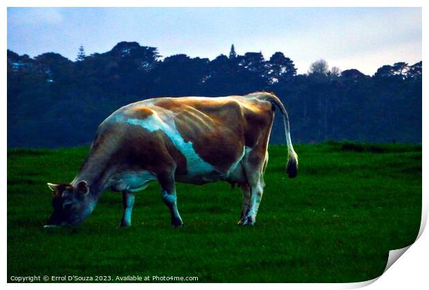 Jersey Cow Print by Errol D'Souza