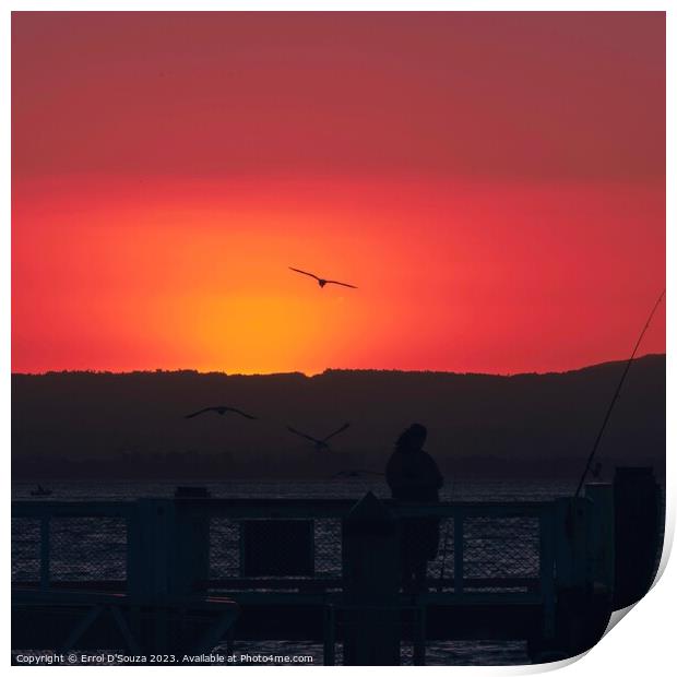 Pilot Bay Sunset Print by Errol D'Souza