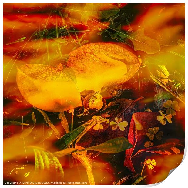 Orange and yellow succulent abstract Print by Errol D'Souza