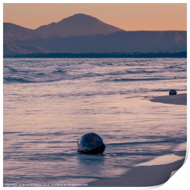 Four Mile Beach Port Douglas Sunset Print by Errol D'Souza