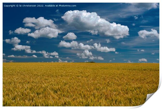 Rheinland-Pfalz Wheat Field Print by liz christensen