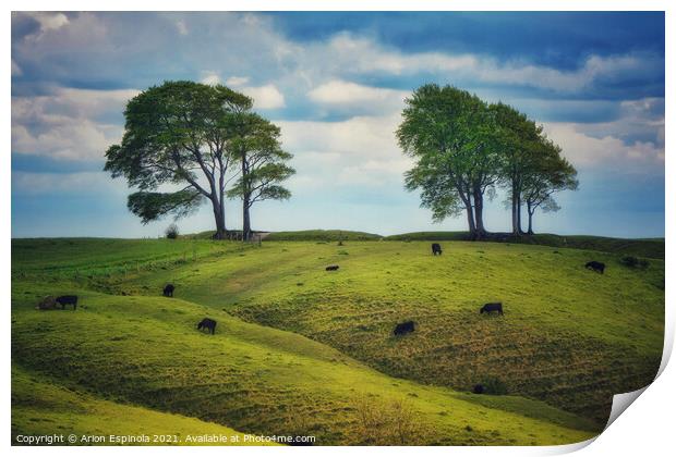 Cows on a lush green Roundway Hill Print by Arion Espinola