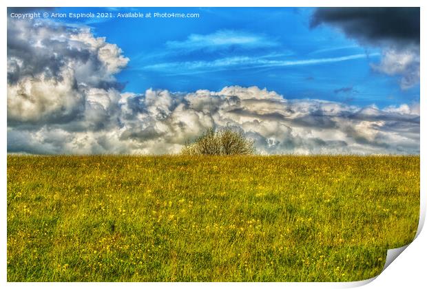 Outdoor view at Roundway hill , England  Print by Arion Espinola