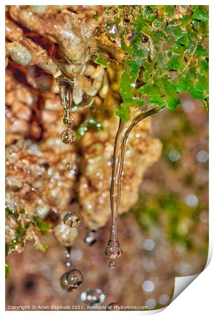 Water Droplets in The forest  Print by Arion Espinola