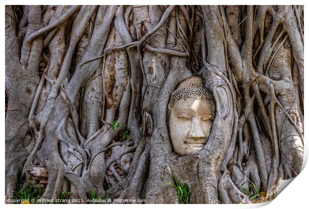 Wat Mahathat in Ayutthaya Thailand Southeast Asia Print by Wilfried Strang