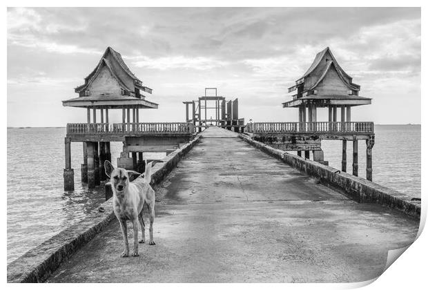 A  street dog at a pier leading to an unfinished temple Print by Wilfried Strang