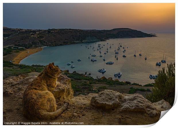 Sunset and cat watching the sea and boats, Gozo Ma Print by Maggie Bajada