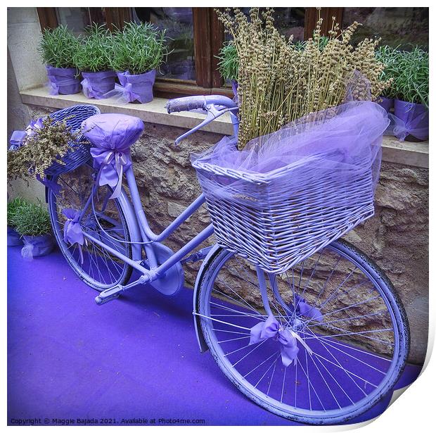 Colorful Purple Bicycle with lavender inside a bas Print by Maggie Bajada