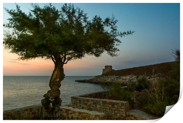 Blue hour at Coastline of Xlendi Bay, Gozo Malta. Print by Maggie Bajada