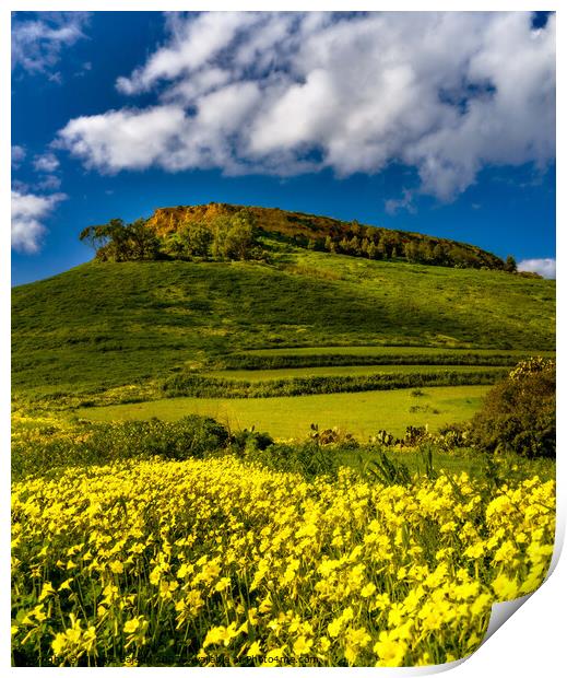 The Green and Yellow Hill of il-Gelmus of Gozo. Print by Maggie Bajada