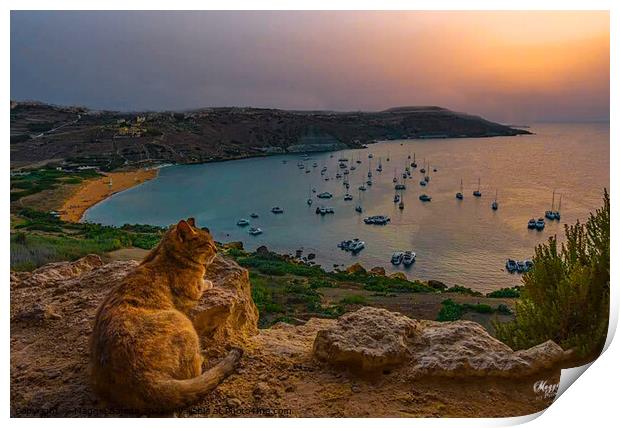Cat watching the sunset over Ramla Bay, Gozo, Malta. Print by Maggie Bajada