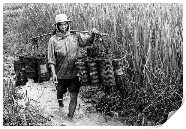 Fisherman on the Mekong Delta, Vietnam Print by Ian Miller